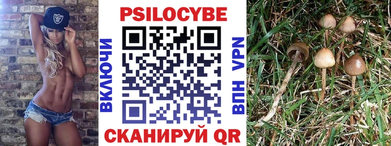 Галлюциногенные грибы MAGIC MUSHROOMS  Купить  Выкса 